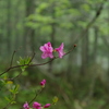 深山