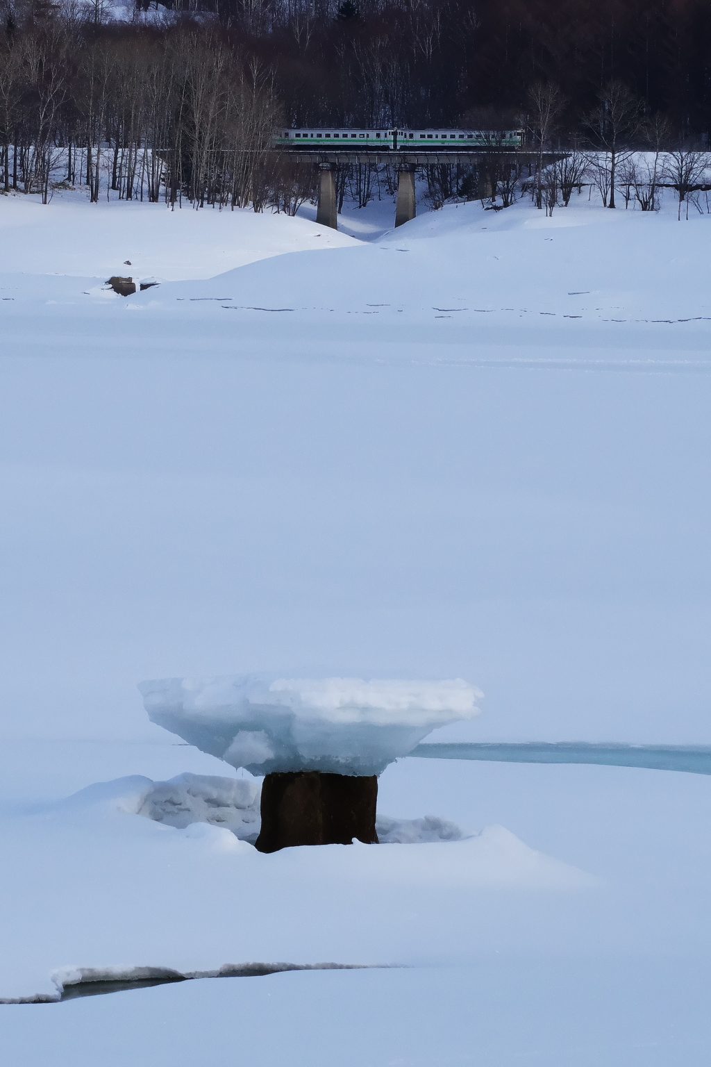 きのこ氷