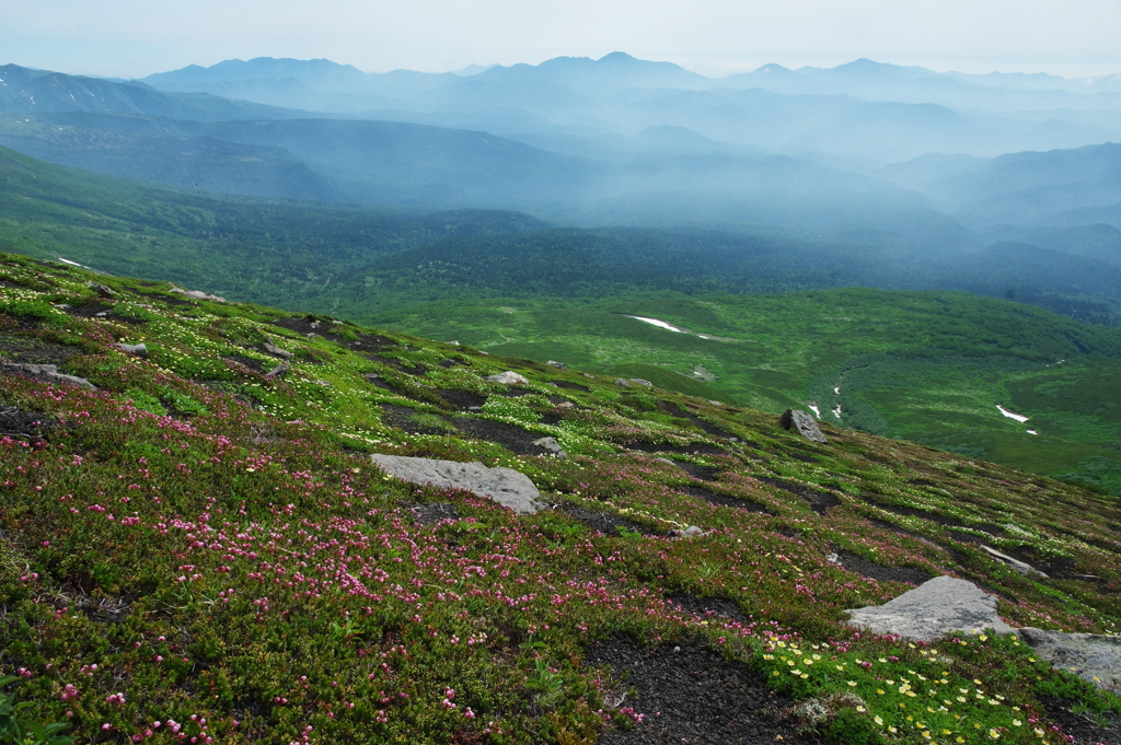 遥かな山