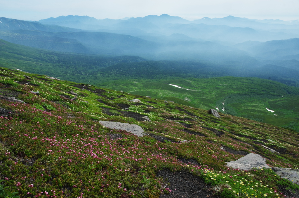 遥かな山