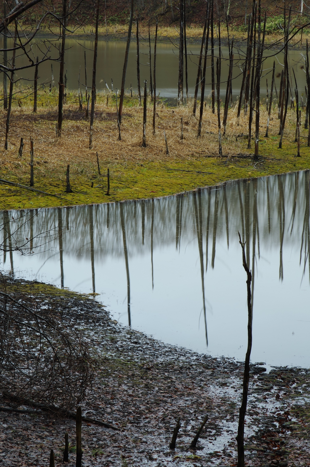 色のない景色へ