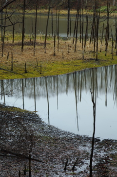 色のない景色へ