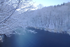 千歳川