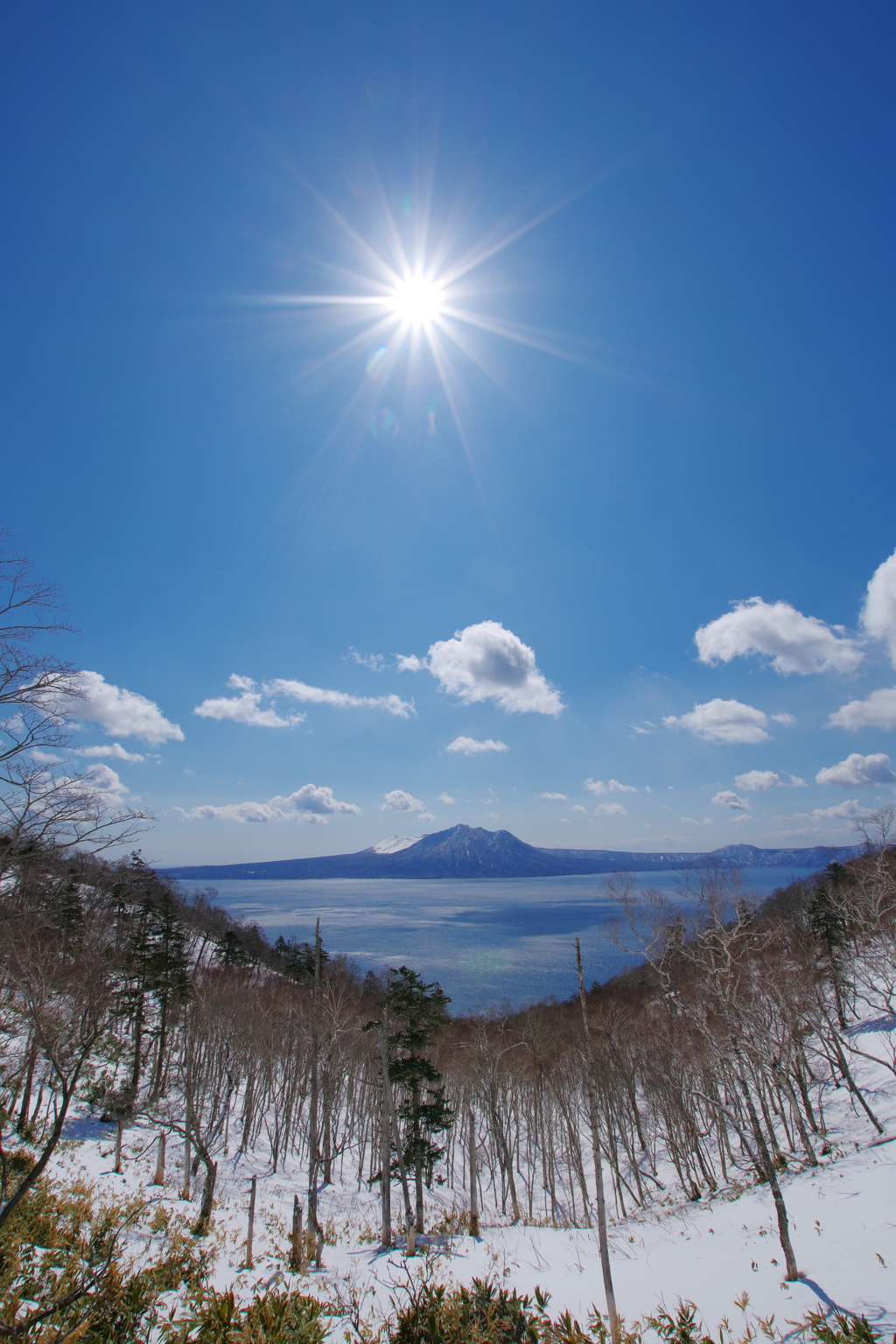 テッペンの太陽