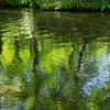 緑の川