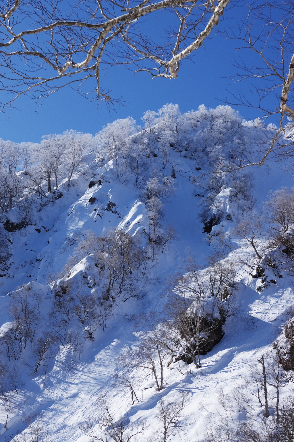 雪崩れる沢