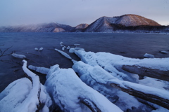 成長する氷