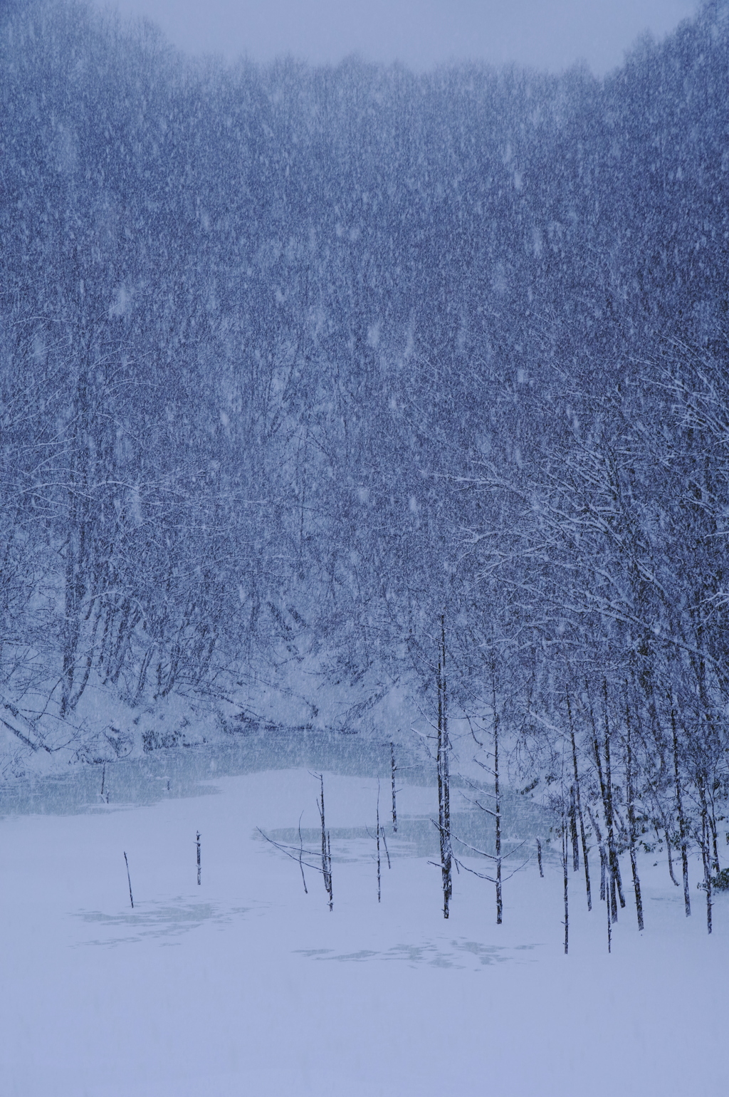 雪降り