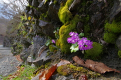 川岸