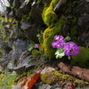 川岸