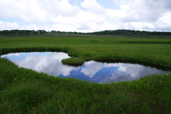 夏の雨竜沼