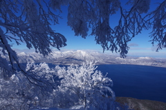霧氷
