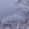 雪の日