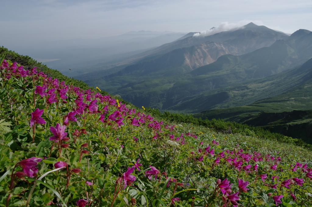 山は春