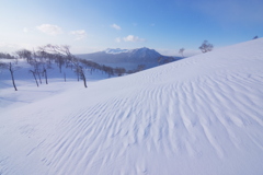 風が通る