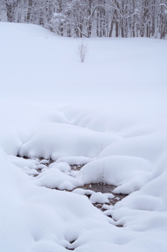 雪化粧
