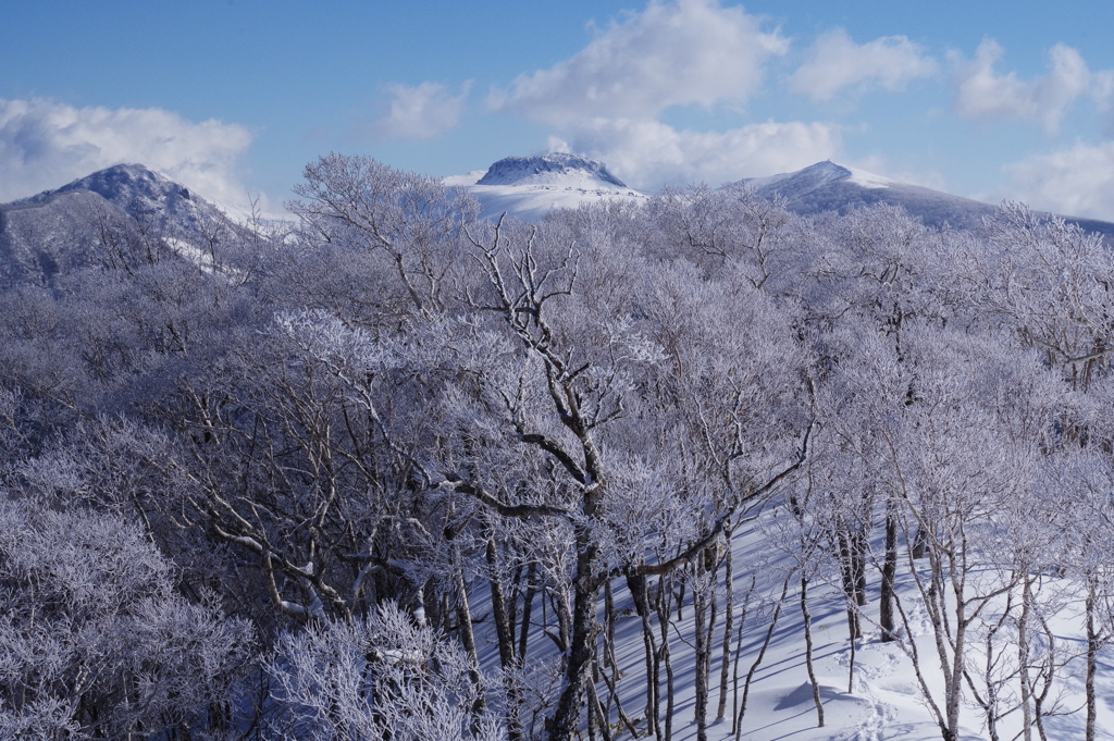 樽前山