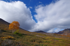 迫る雲