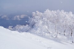 ちらりと雪