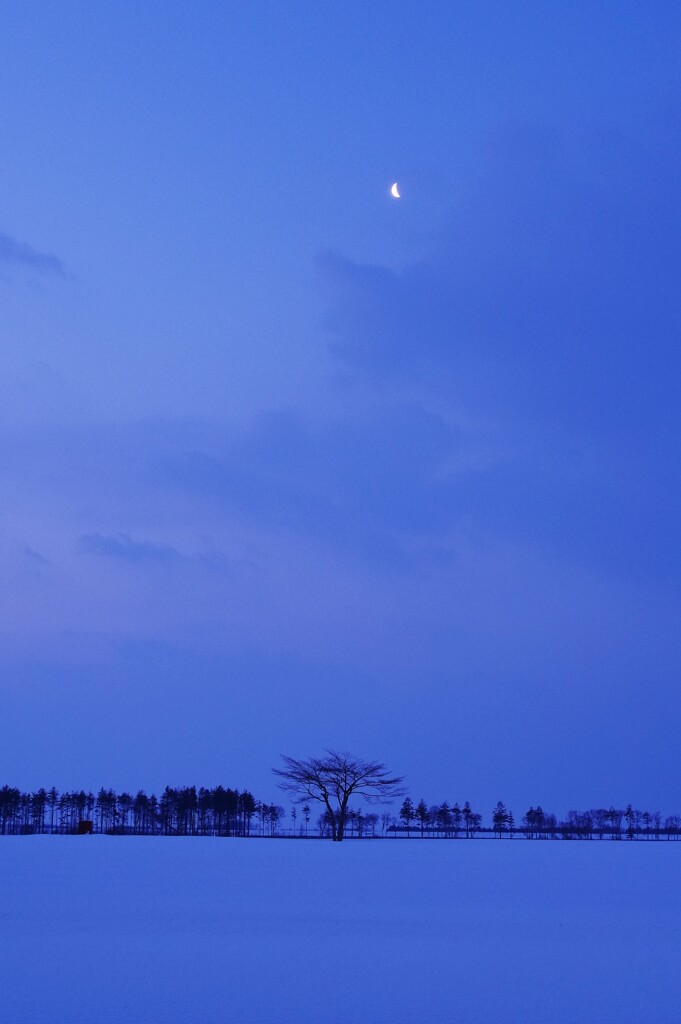 朝の月