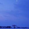 朝の月