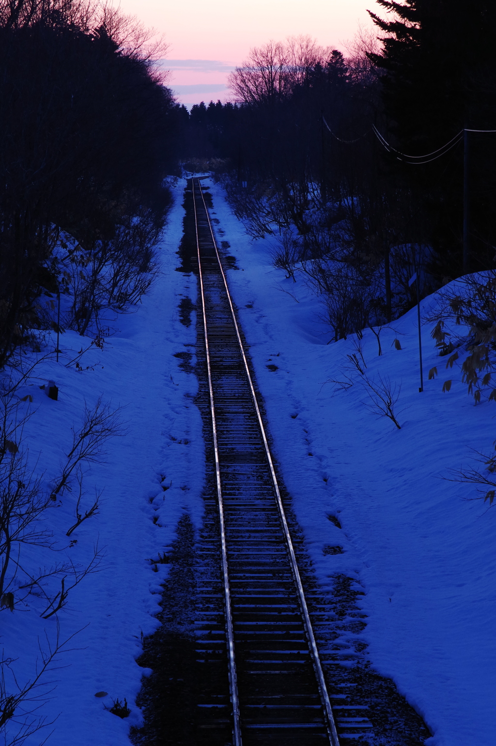 廃線になる線路