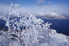 樹氷