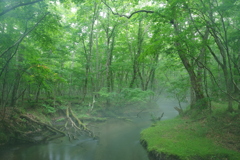 目覚めの川