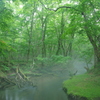 目覚めの川
