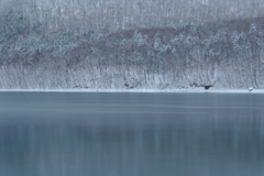 モーラップ山を映す