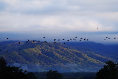 里山