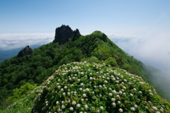 花咲く山
