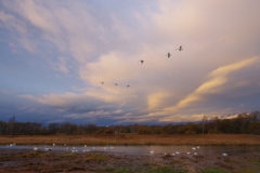隙間の光 隙間の光