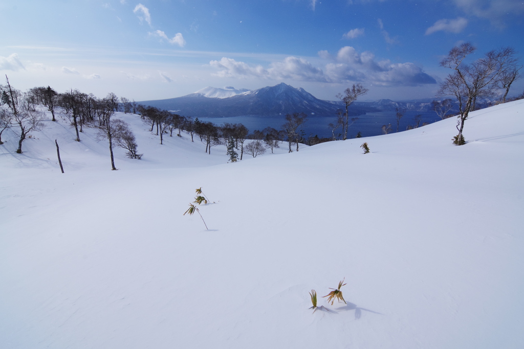 雪原