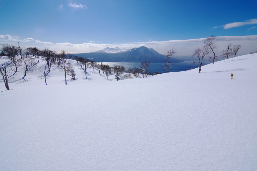 雪原