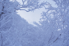 霞む頂