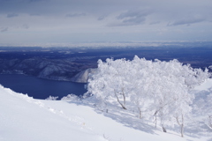 森林限界の樹氷