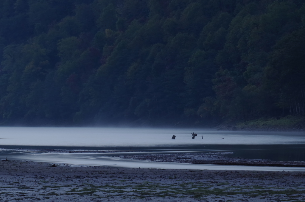 朝霧たつ湖