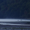 朝霧たつ湖