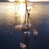 支笏湖