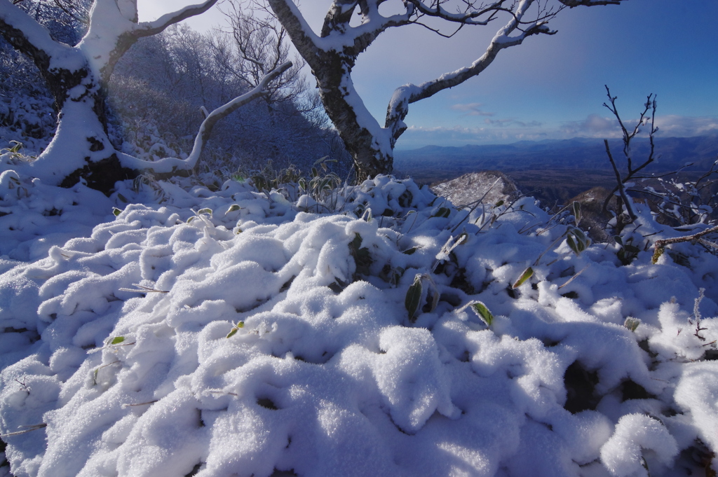 おいしそうな雪