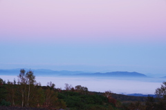 ピンクの空