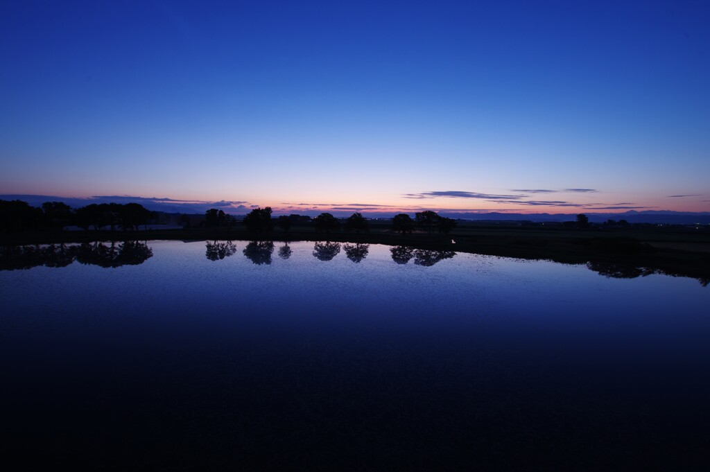 水鳥の沼の夜明け