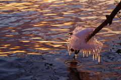 ちょっとだけの氷