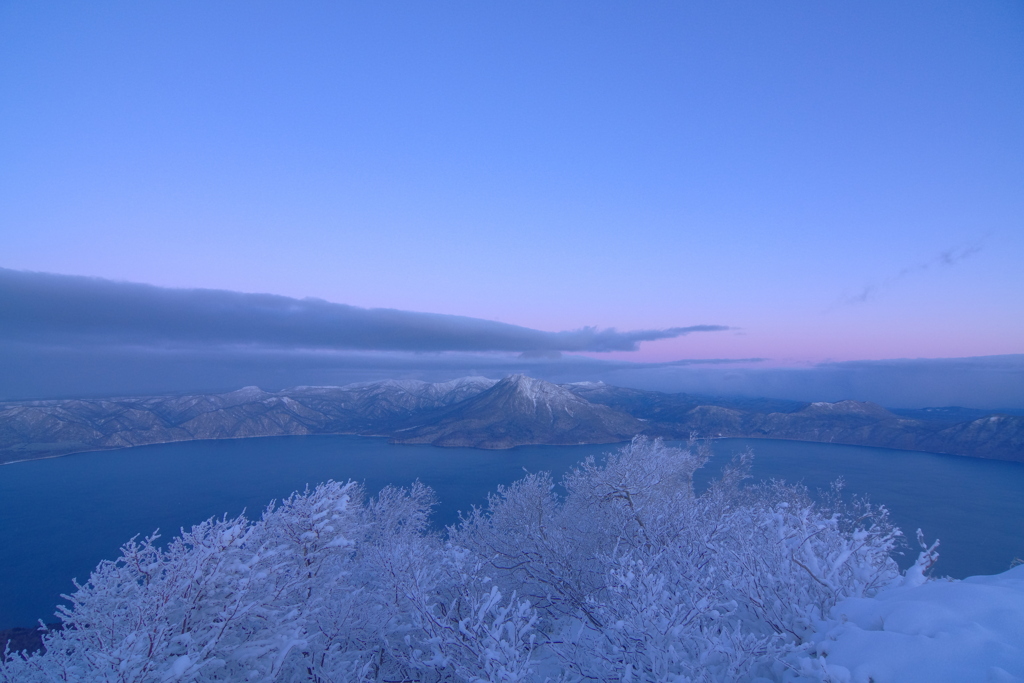 ヴィーナスベルト