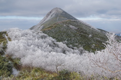 霧氷