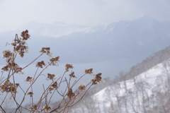 霞む山
