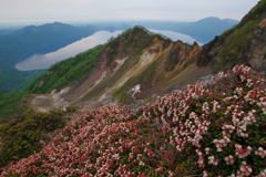 満開