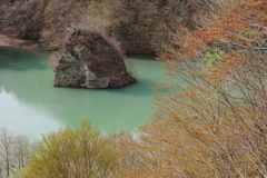 ツツジの咲く岩