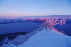 朝の登山道